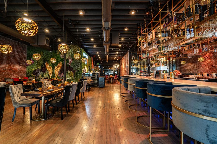Long view of the Camelia bar — blue velvet barstools, gold pendant cages, brick walls